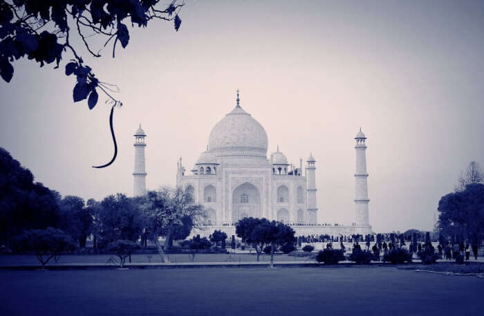 Taj Mahal view