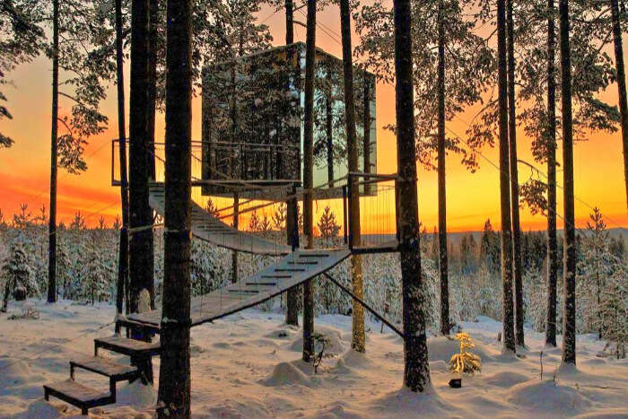 a tree house in a jungle covered with snow