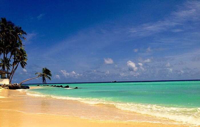 Maafushi Island