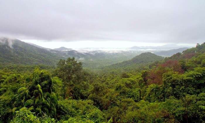 Serene and Green hills