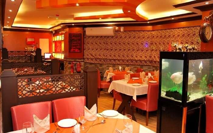 acj-2702-indian-restaurant-in-abu-dhabi