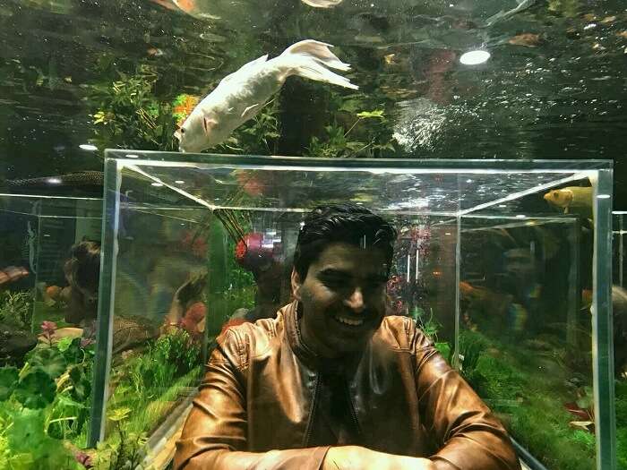 udaipur aquarium