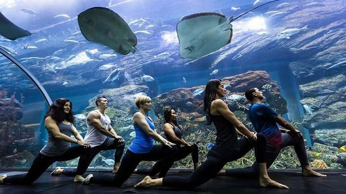 maldives underwater yoga