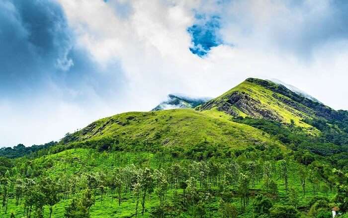 wayanad weather tourist places