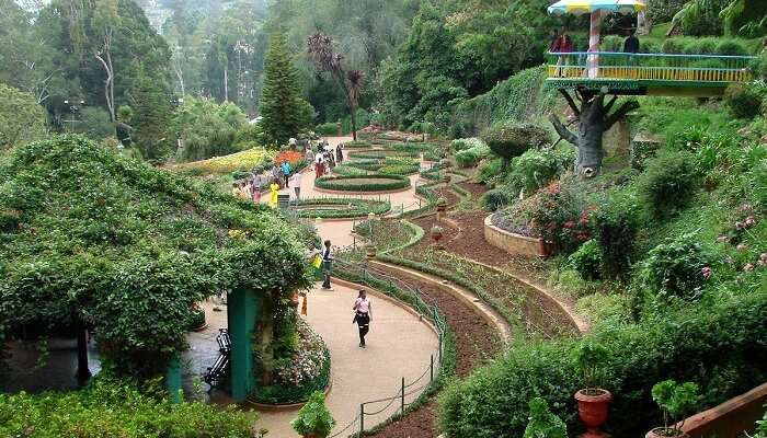 Behold the stunning colours of the Botanical Gardens, one of the best honeymoon places in Ooty