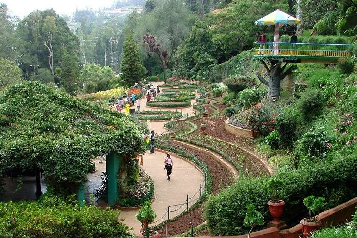 30 Things To Do In Ooty For Nature &amp; Adventure Lovers In 2021!