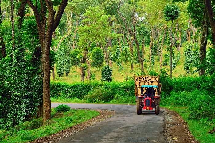 Coorg - India