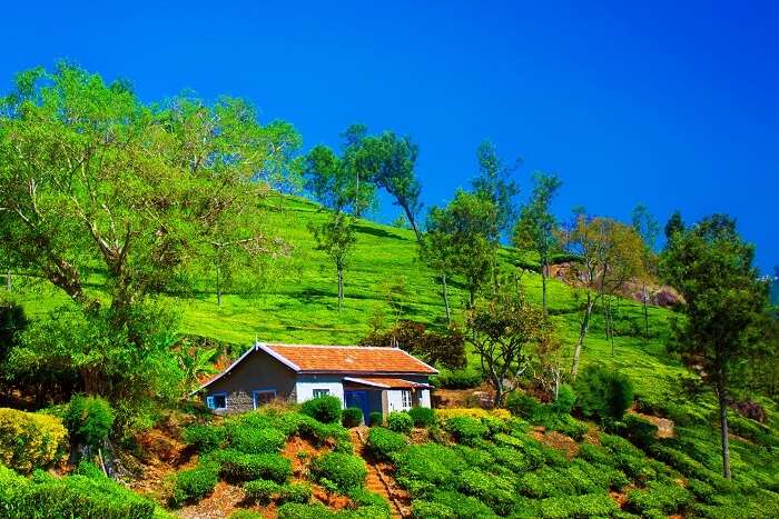 tourist places at coonoor