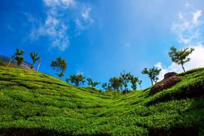 Places To Visit In Coonoor