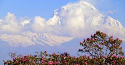 places to visit in Lachung