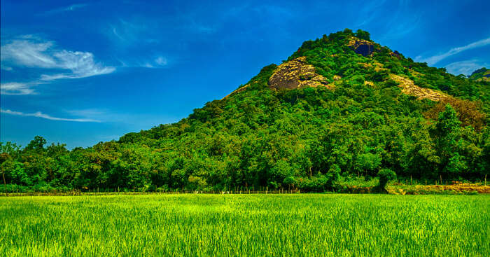 green mountain amid grass field