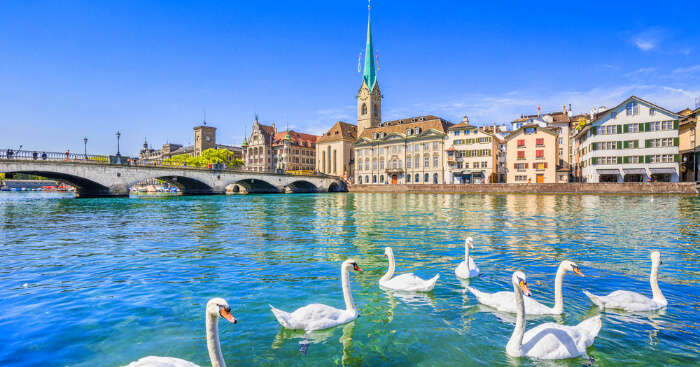 a gorgeous lake with swans swimming in it