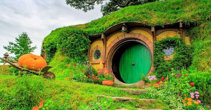 Hobbiton Village 15 Surreal Pictures From Frodo Baggins Homeland