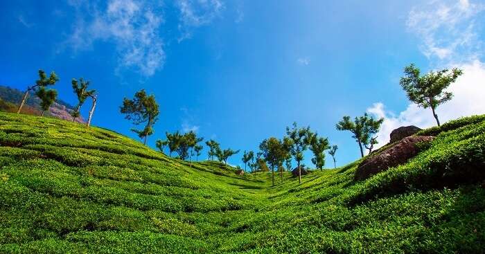 18 Best Places To Visit In Coonoor For A Vacay In Nature's Lap In 2023!
