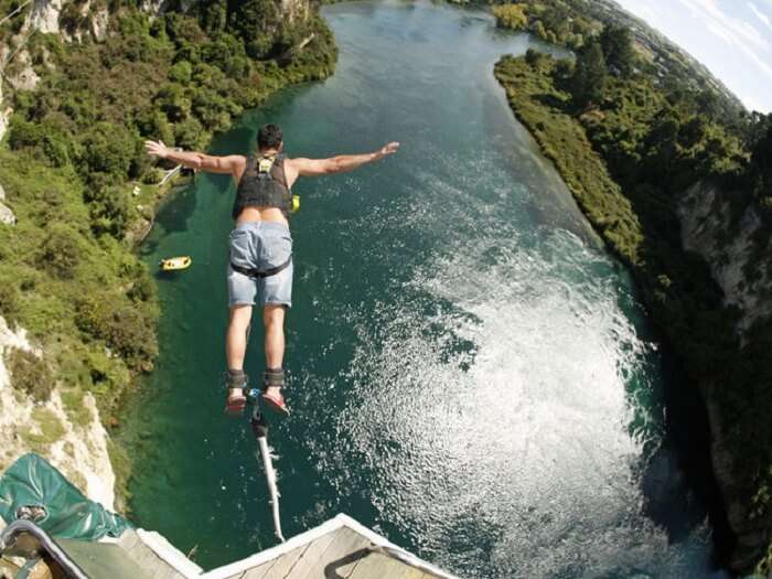 new zealand bungy jumping