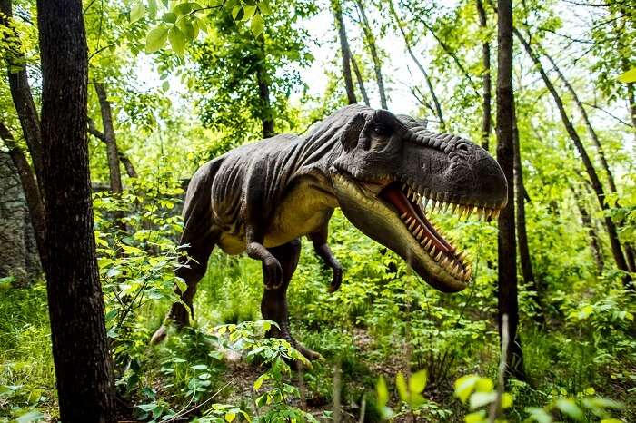 fossil park in maharashtra