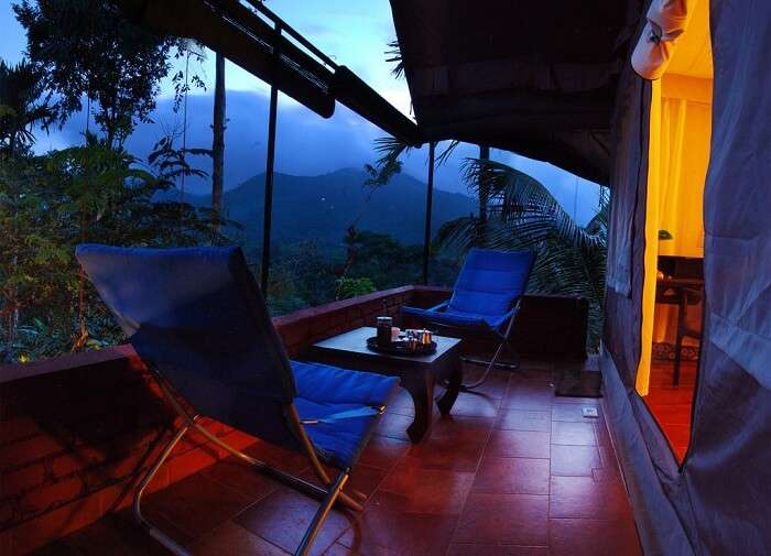 grass roots resort in wayanad