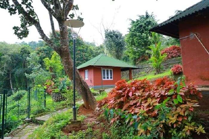 lake monarch cottage in wayanad