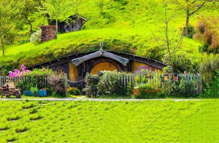 a house amid greenery
