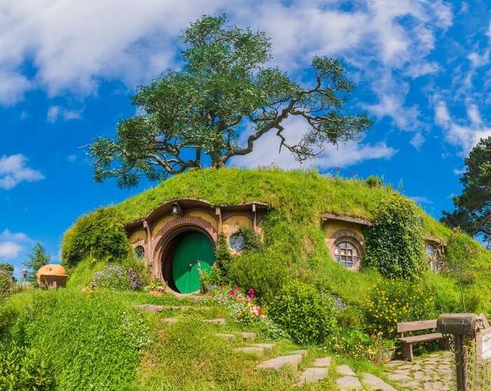 a gorgeous house amid greeness
