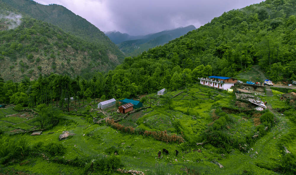 the lush green base camp of Chopta trek