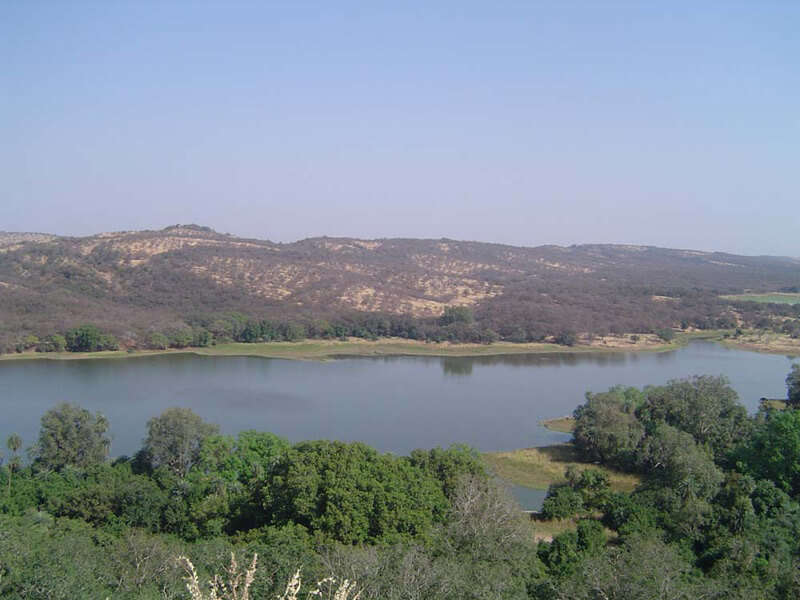 views of the surrounding forests
