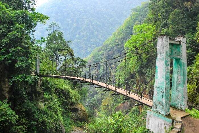 Goechala Trek Suspension Bridge Khangchendzonga