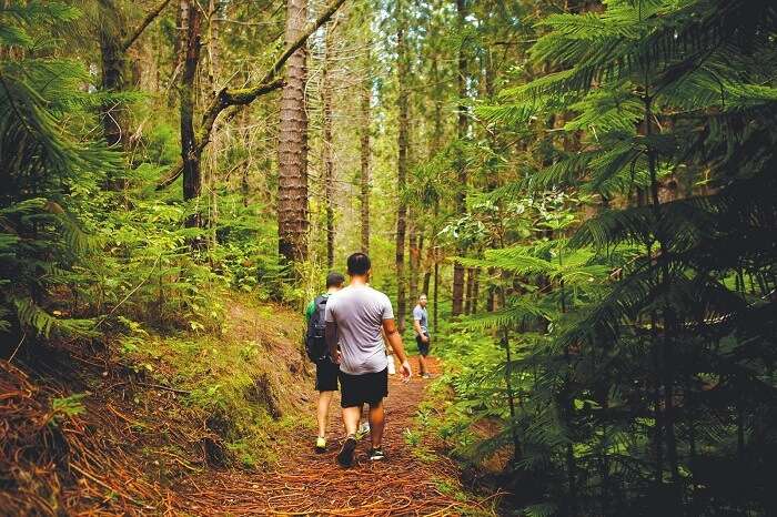 Mountain Hiking