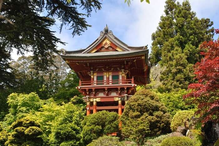 Make a trip to the Oldest Japanese Tea Garden