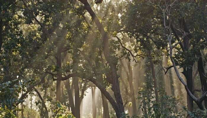 small cottage village, one of the best places to visit in Uttarakhand in Summer