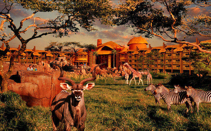 Animals outside Disney’s Animal Kingdom Lodge in Orlando