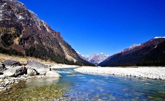 Yumthang Valley: A Guide For Witnessing Nature's Magic