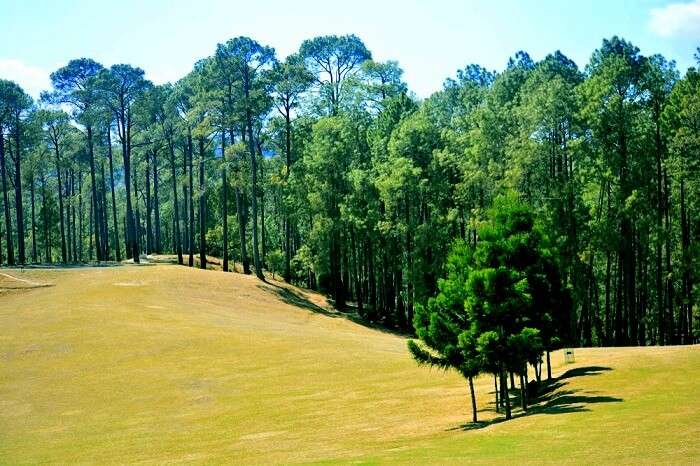 perfectly manicured lawns