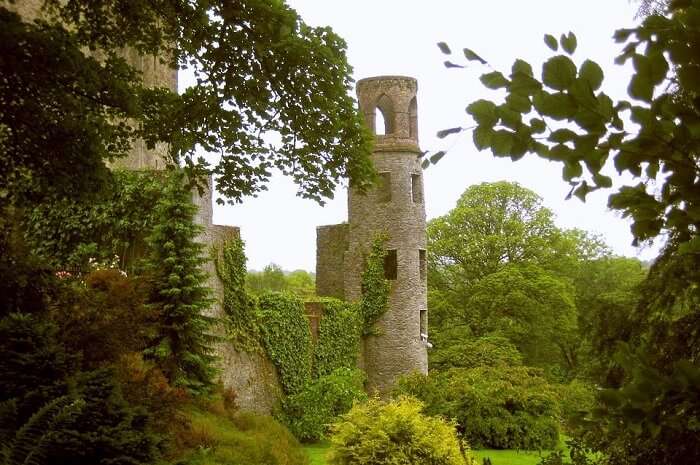 Blarney Castle- places to visit in Ireland