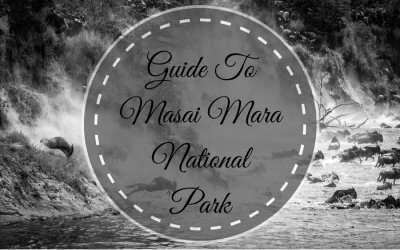 Masai Mara National Park guide