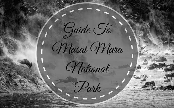 Masai Mara National Park guide