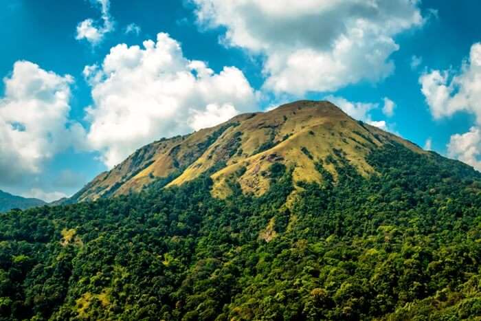 Kudremukh National Park