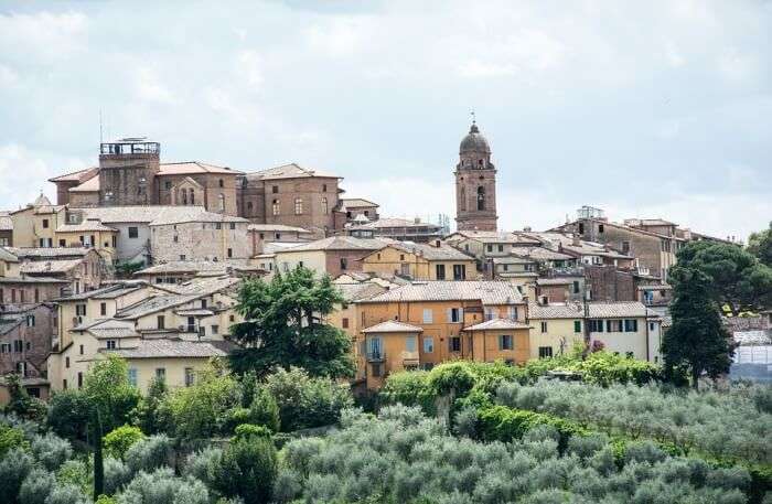Siena