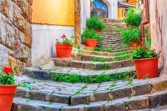 Colorful buildings linning the streets of Szentendre