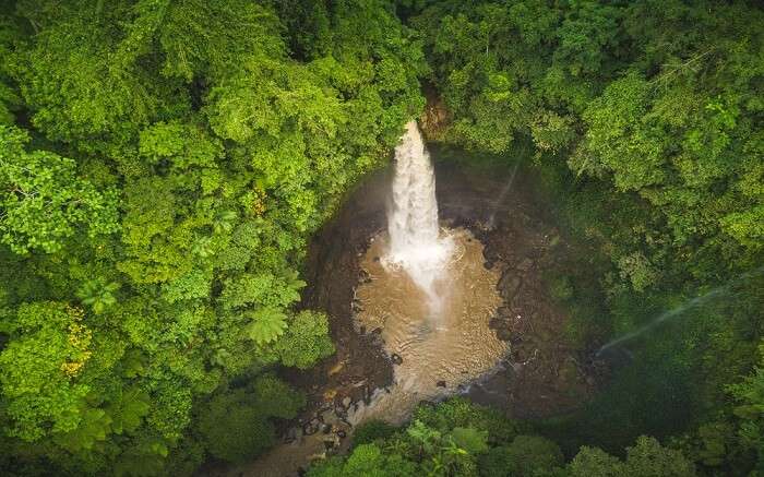 a giant waterfall right in the middle of jungle seen from above 