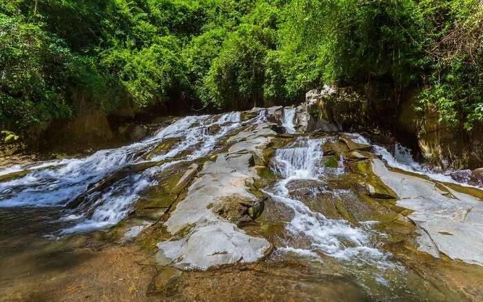 a small waterfall flowing inside a jungle