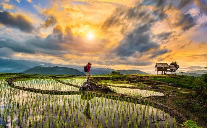 chiang mai thailand, one of the majestic places to visit in Southeast Asia