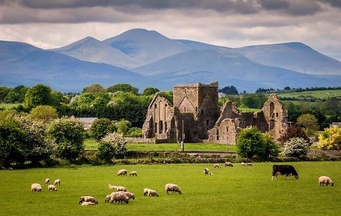 Explore the Best Tourist Spots in Ireland: A Traveler's Guide