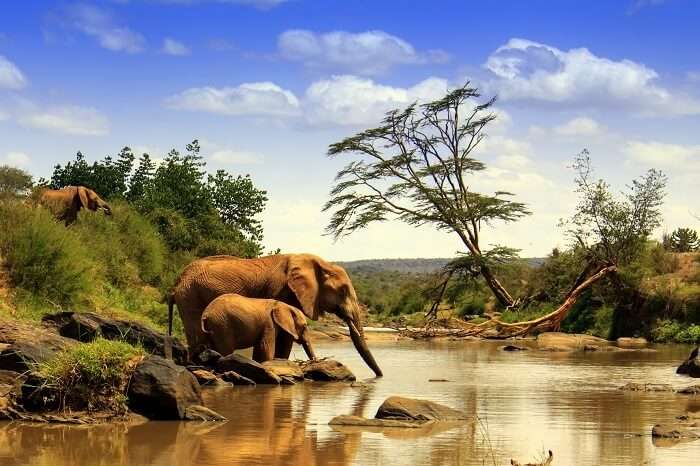 safari parks in kenya