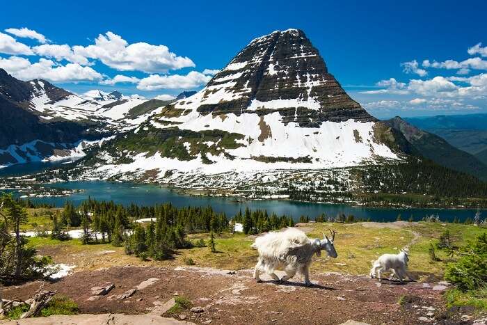 Glacier National Park Montana