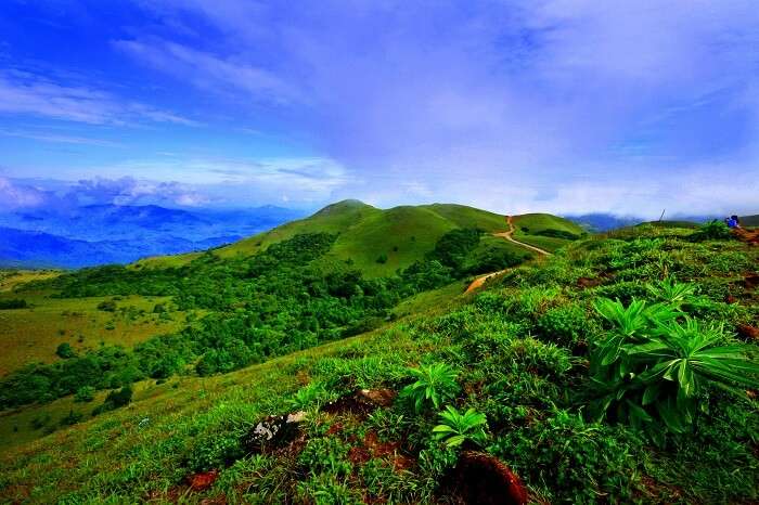 Coorg weather In Monsoon