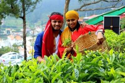 couple at tea farm