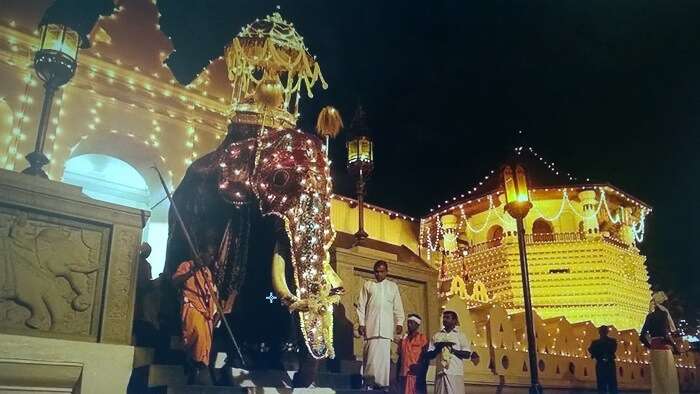 Kandy_Perahera