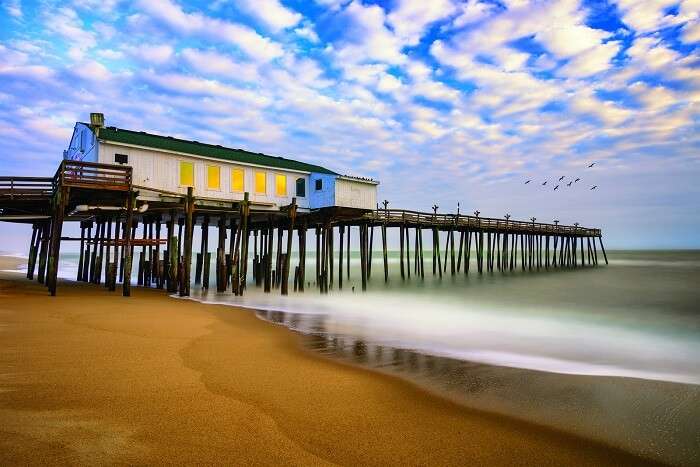 what beaches allow dogs in north carolina