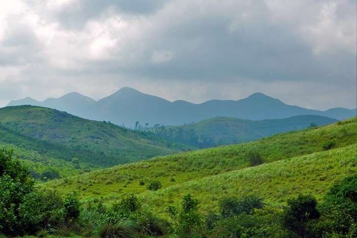 Vagamon, Idukki